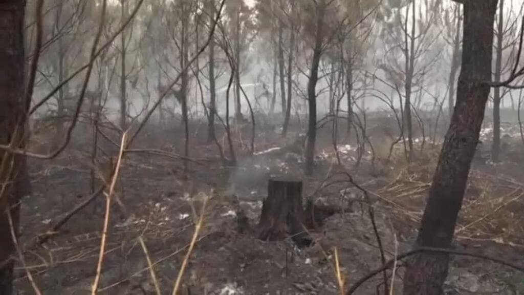 115.000 hectáreas arrasadas por los incendios forestales y más 200.000 evacuados en Francia