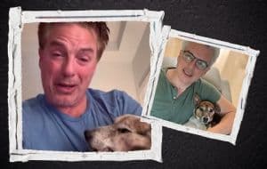 Actor de Doctor Who comparte emotivo video donde su perrito muere pacíficamente en sus brazos