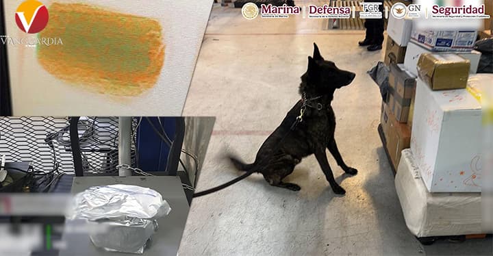 Aseguran fentanilo en el AICM enviado desde Hong Kong, en Asia