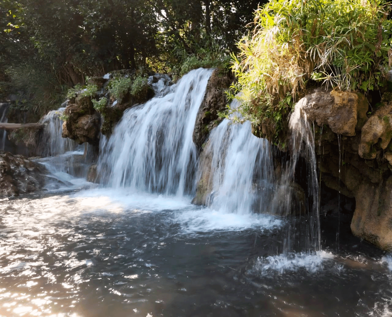 Balneario Los Manantiales, aguas hipotermales en Morelos