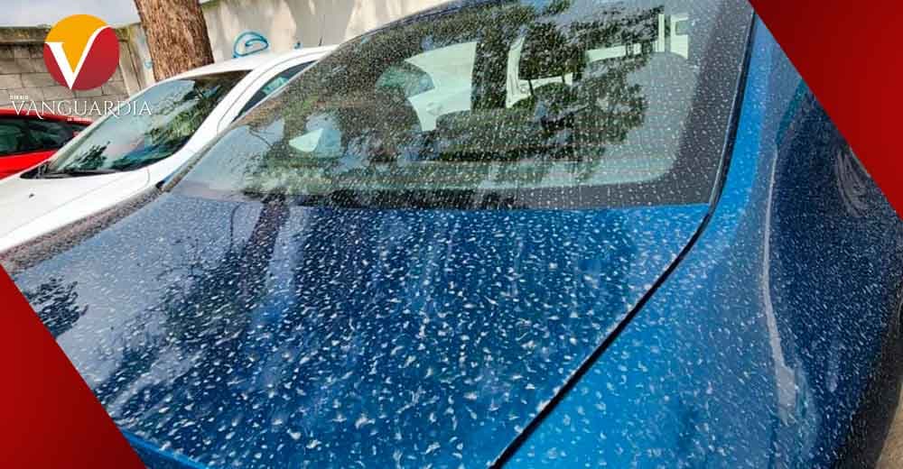 Caída de ceniza volcánica registran municipios de las Altas Montañas