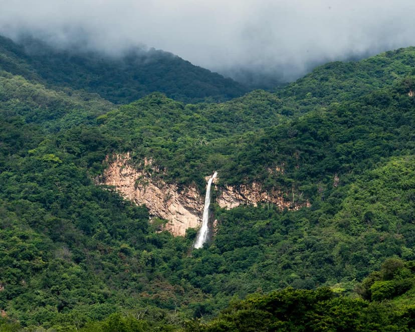 Cascada del Mixcuate, la fuerza y belleza en la caída de agua más alta de Colima