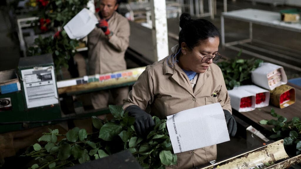 Colombia: Consejo de Estado suspende provisionalmente el alza del 23% en el salario mínimo