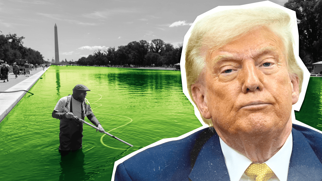 ¿Cómo se empantanó Donald Trump en el estanque reflectante de Washington?