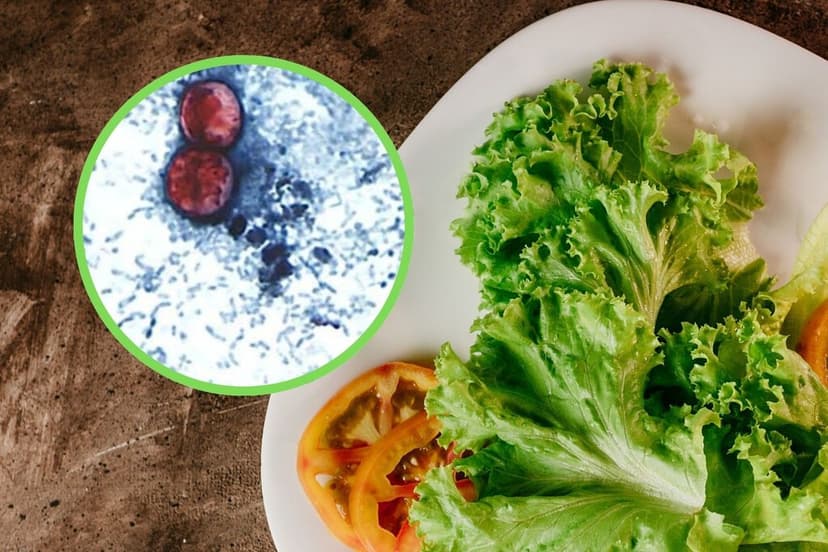 Cyclospora: parásito que está causando el mayor brote registrado en EEUU. Es muy probable que afecte a México