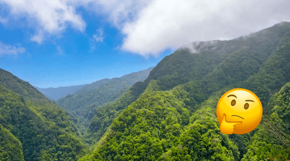 Día Mundial del Medio Ambiente ¿Qué estamos haciendo por la tierra?
