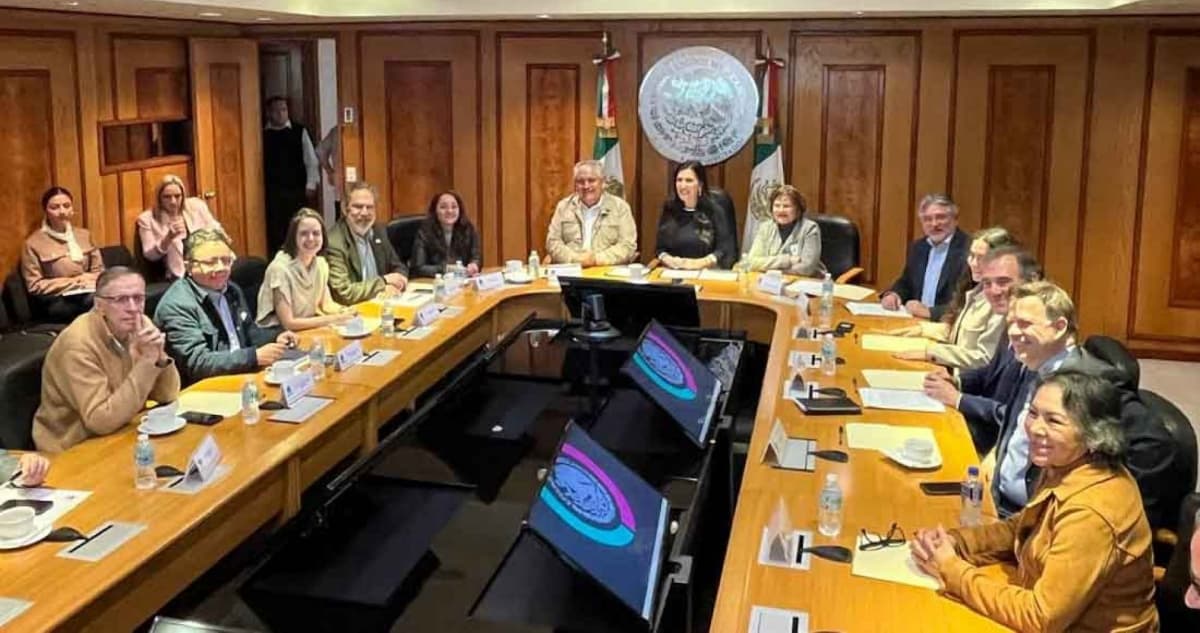 El INE valida iniciativa ciudadana de Reforma Electoral impulsada por Salvemos México