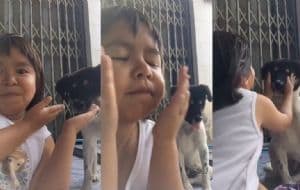 ¡El mejor tutorial de belleza! Niña se vuelve viral en redes por rutina de skincare junto a su cachorro | VIDEO