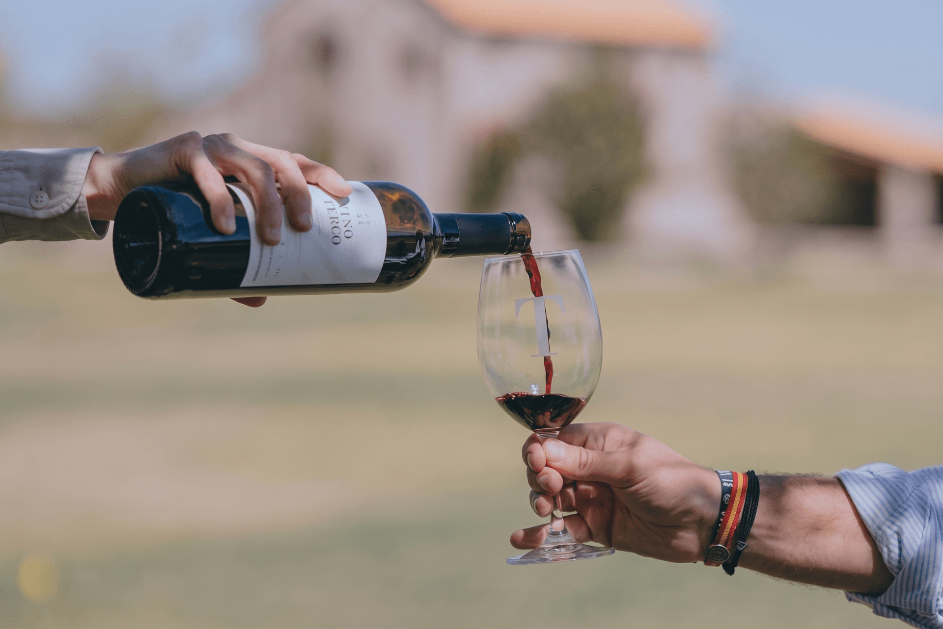 El vino de Querétaro se convierte en arte, sabor y fiesta en el viñedo La Terquedad