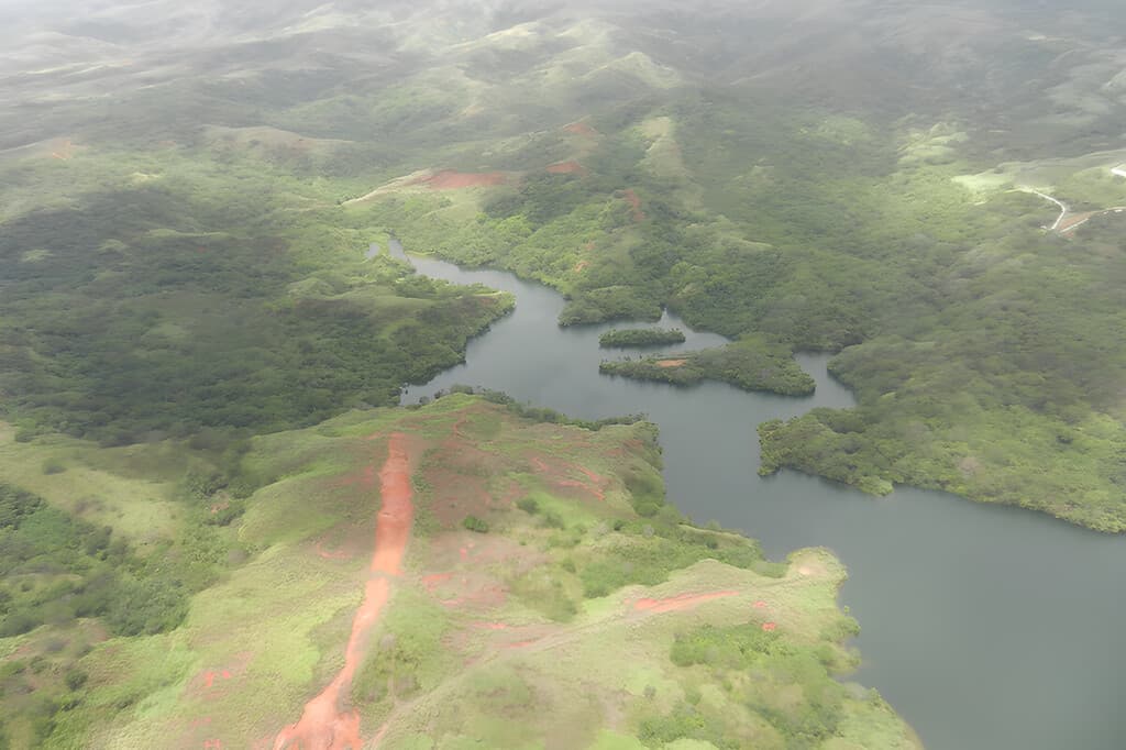 En 1940 una criatura apareció en una isla de Estados Unidos y acabó con todo: hoy conviven solas dos especies temidas por el ser humano