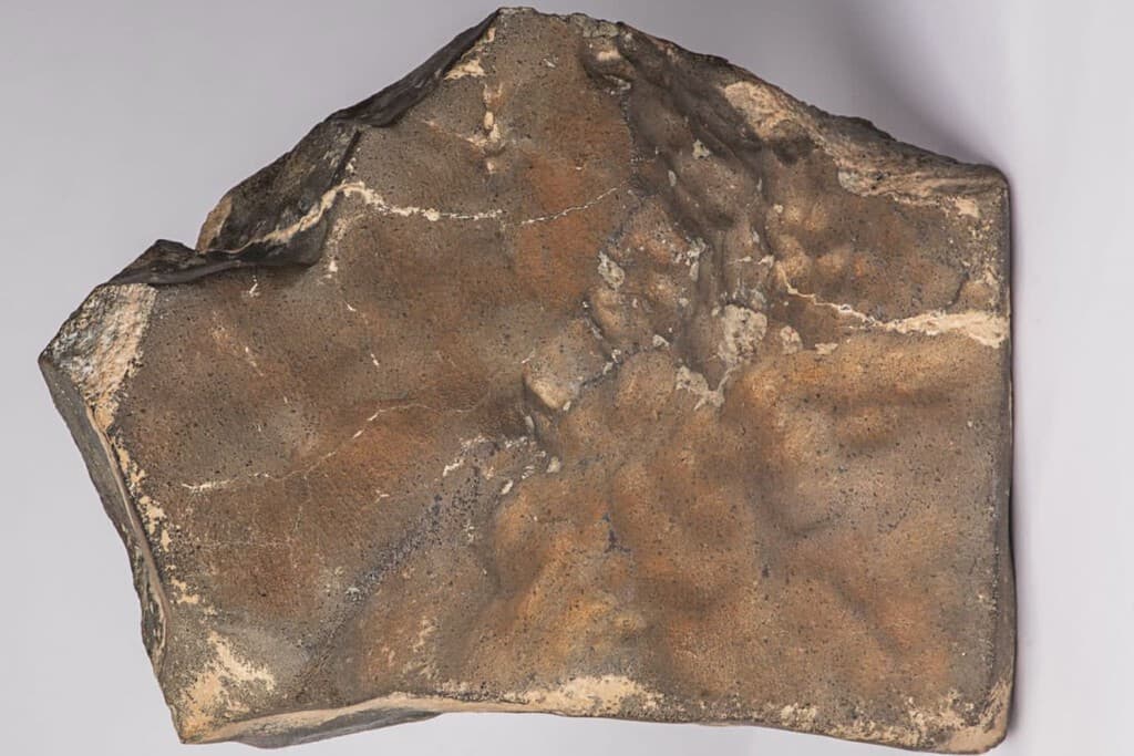 En 2025 la roca marciana más grande encontrada en la Tierra se vendió por 5.3 millones de dólares. Nigeria no estuvo nada contenta