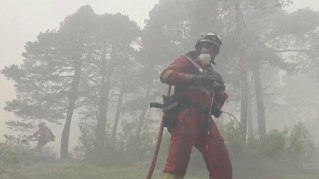 España: más de 32.000 hectáreas arrasadas por las llamas en la región de Guadalajara