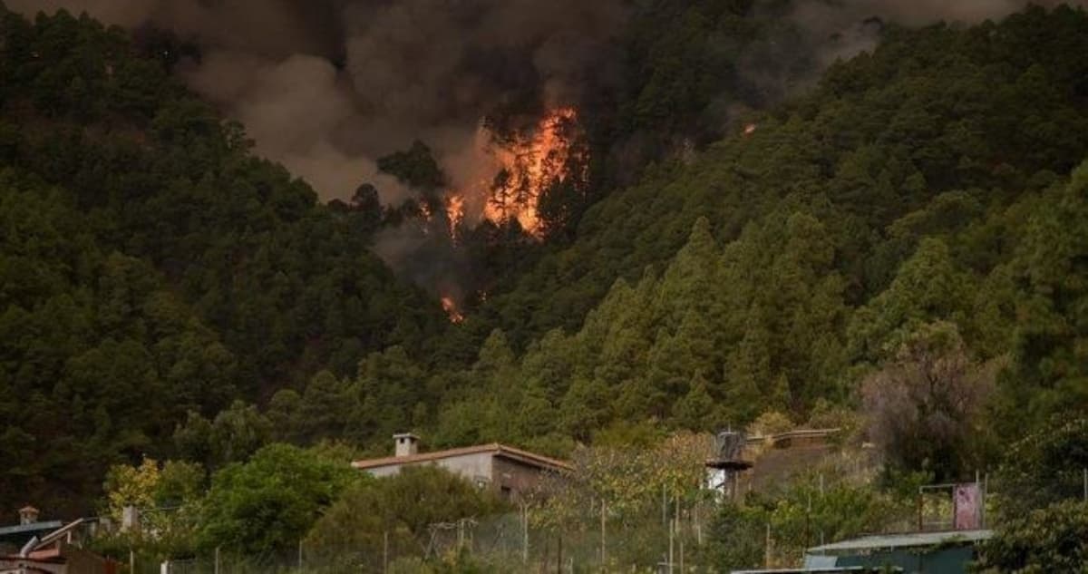 Exposición a humo de incendios forestales aumenta riesgo de derrame cerebral: estudio