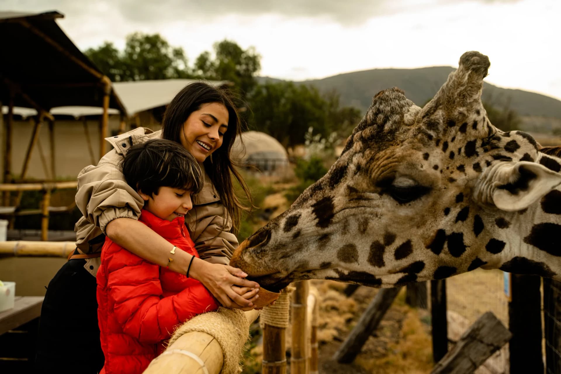 Glamping con jirafas a una hora de la CDMX