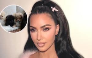 Kim Kardashian recibe críticas por regalar a cada uno de sus hijos un cachorro para Navidad