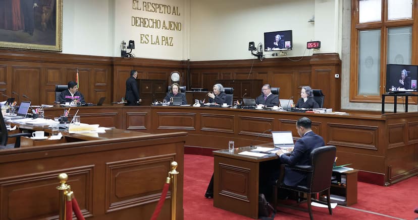 La Suprema Corte falla a los animales, urge una Ley General de Protección Animal