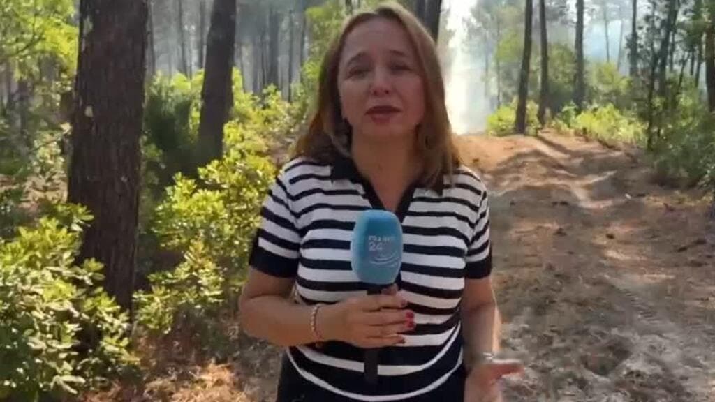 Megaincendio en las Landas de Gascuña: Francia se prepara para cuarta ola de calor