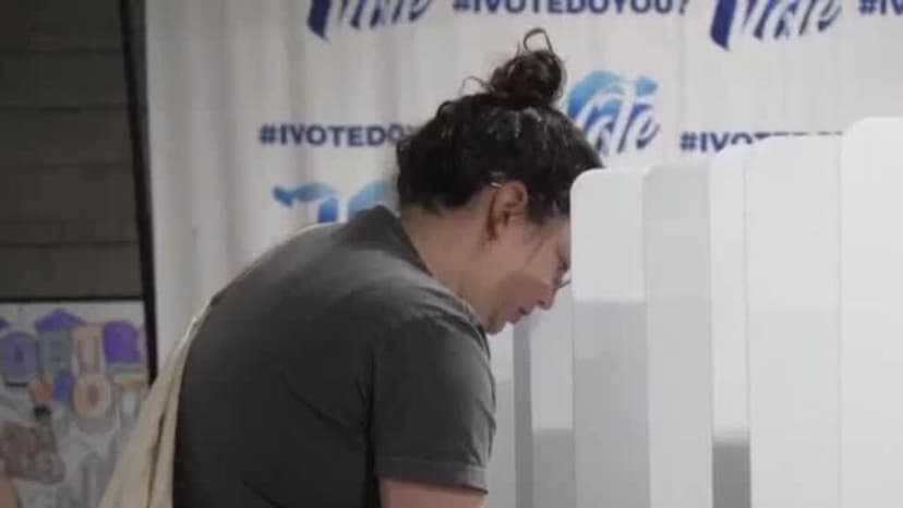 Michigan define su candidato demócrata al Senado en primaria clave