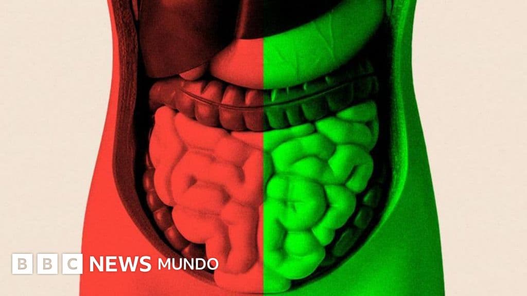Por qué cuidar tu microbioma intestinal puede ayudarte a envejecer mejor