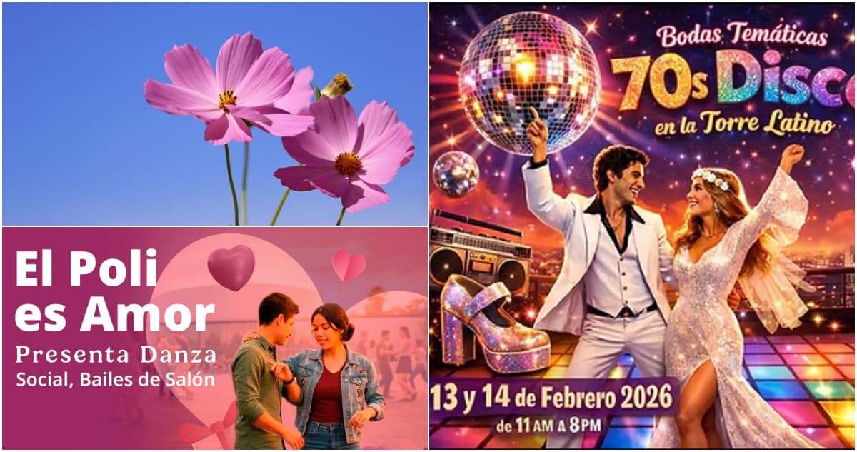 ¿Qué hacer en la CdMx para celebrar el Día del Amor y la Amistad? Te contamos