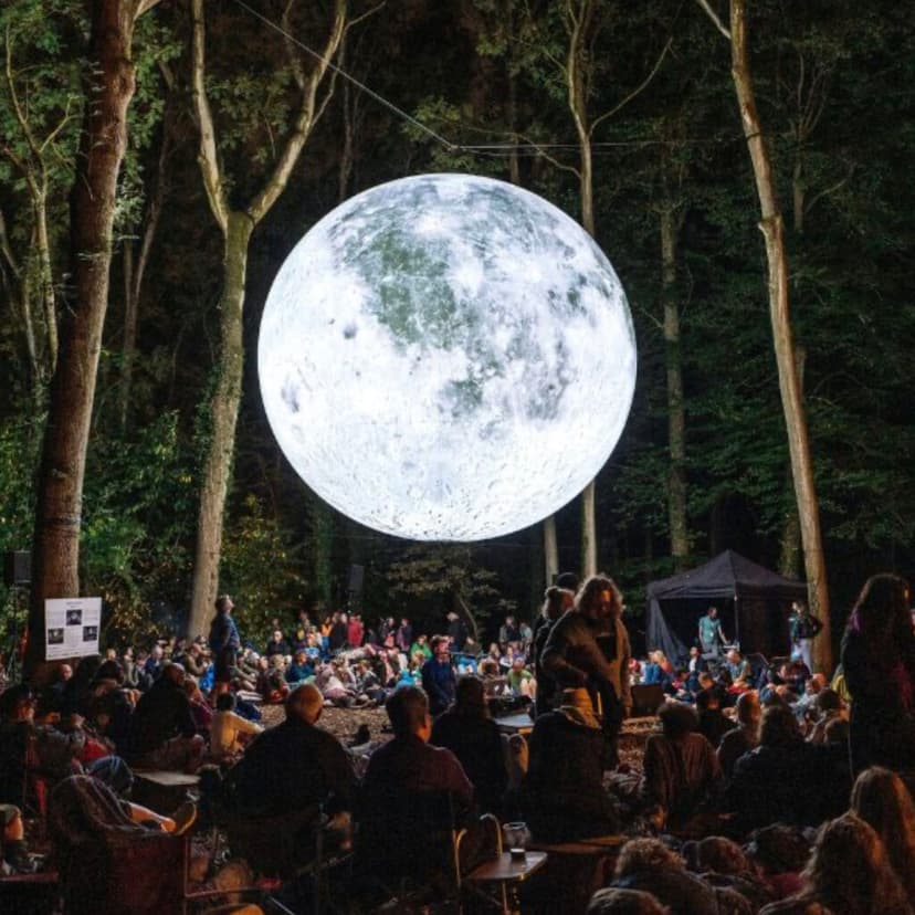 Regresa Filux, el Festival de las Luces a CDMX con arte lumínico en Paseo de la Reforma ¡GRATIS!