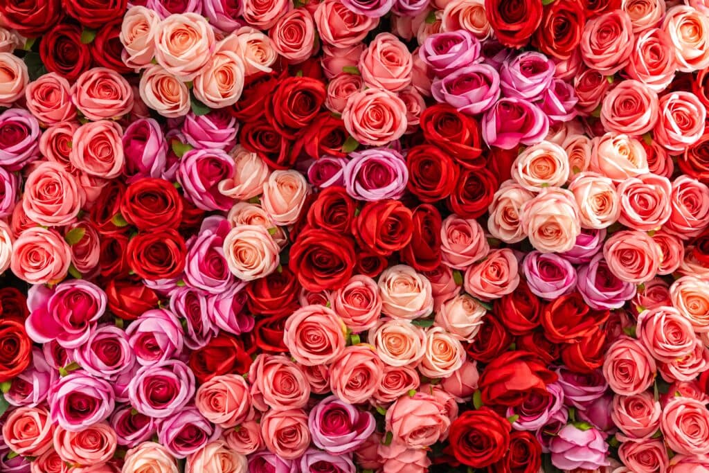¿Rosas o tulipanes? Las mejores flores para regalar en San Valentín 2026