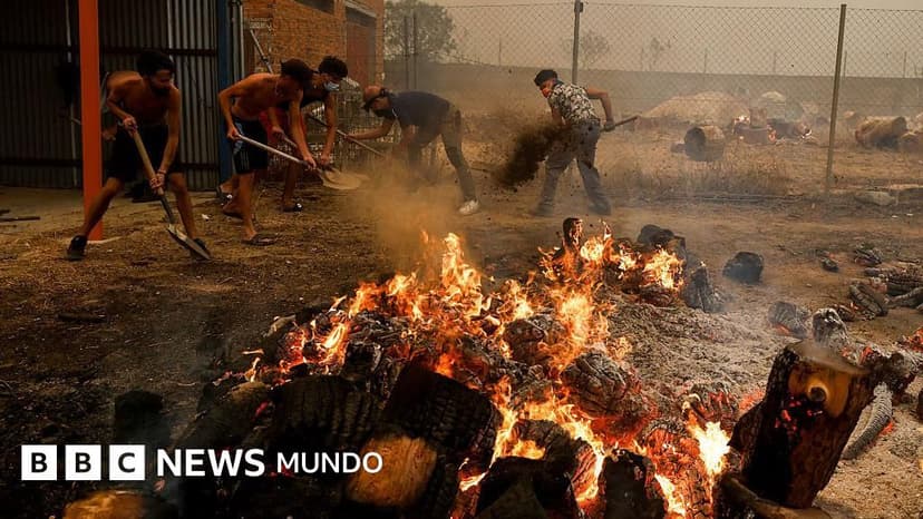"Si me hubiera demorado cinco minutos más, nos habría arrasado": los testimonios de los afectados por los devastadores incendios en España y Francia