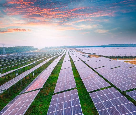 Tamaulipas acelera apuesta por la energía solar: alista tres parques en Tula y Altamira