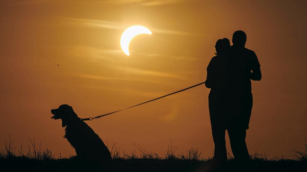 "Una experiencia única": de Islandia a España, el eclipse solar trajo una breve noche en partes de Europa