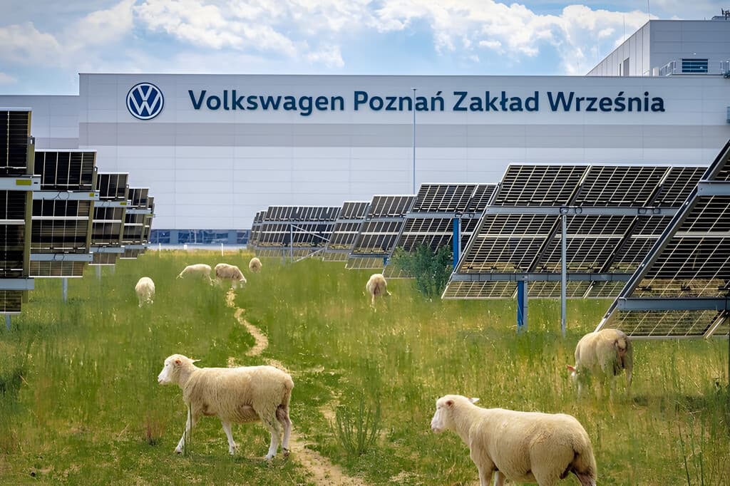 Volkswagen puso a pastar ovejas bajo 31,000 placas solares. Resulta que empezaron a cambiar la forma de producir energía